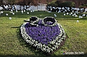 messer tulipano 2019 Inaugurazione_006